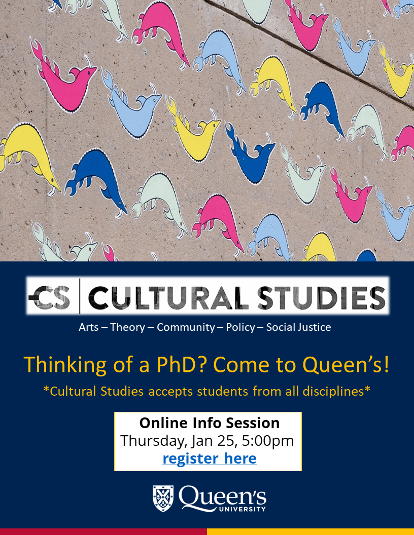 phd cultural studies usa